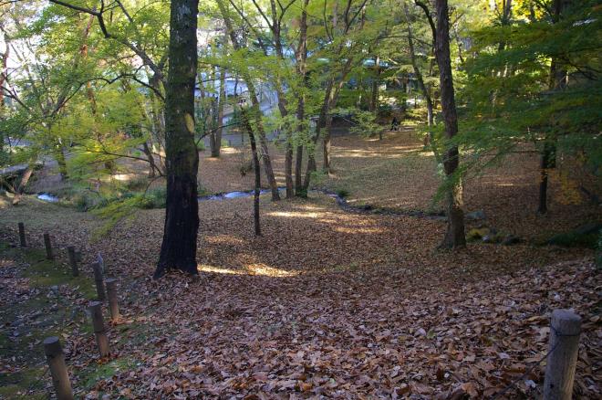 成田山公園の紅葉⑦