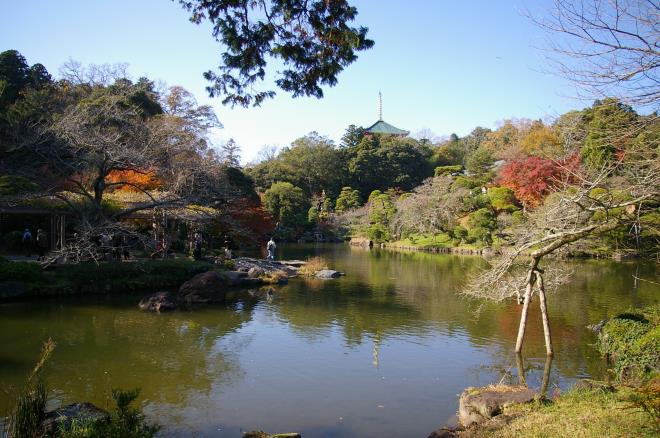 成田山公園の紅葉⑫