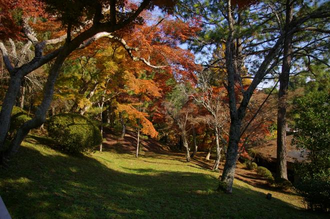 成田山公園の紅葉⑯
