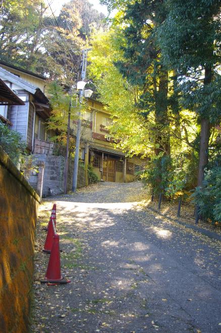 成田山公園の紅葉⑨