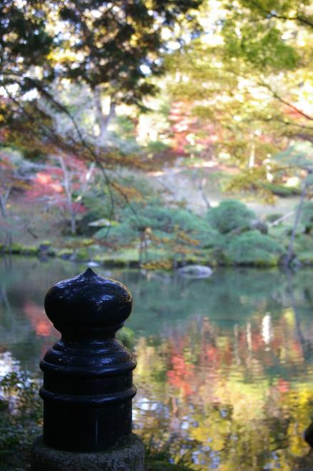 成田山公園の紅葉㉙