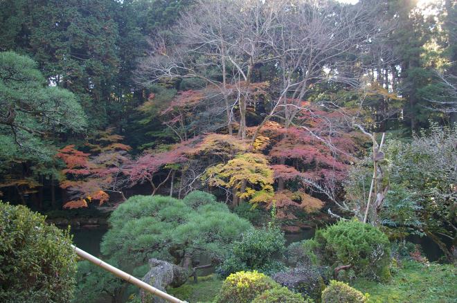 成田山公園の紅葉㉝