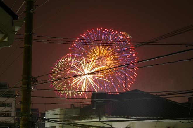 江戸川の花火④