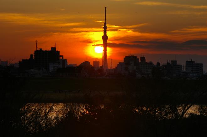 スカイツリーに落ちる夕日③