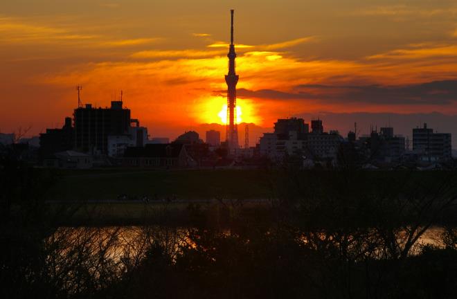 スカイツリーに落ちる夕日④