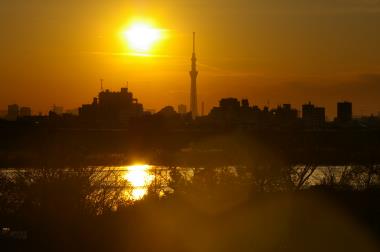 スカイツリーに落ちる夕日①