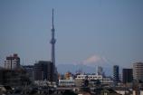 富士山とスカイツリー