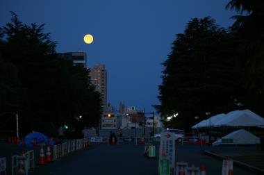 月と富士①