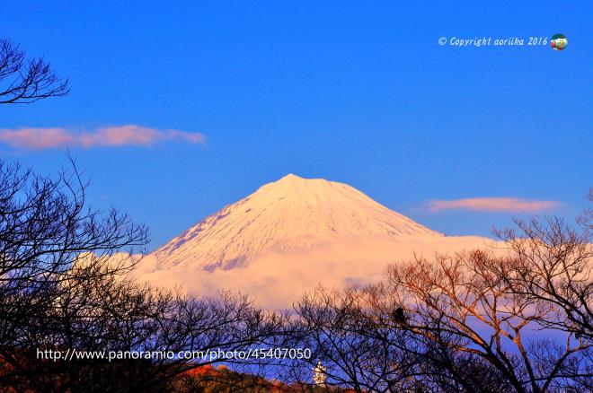 Mt.FUJI