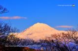 Mt.FUJI