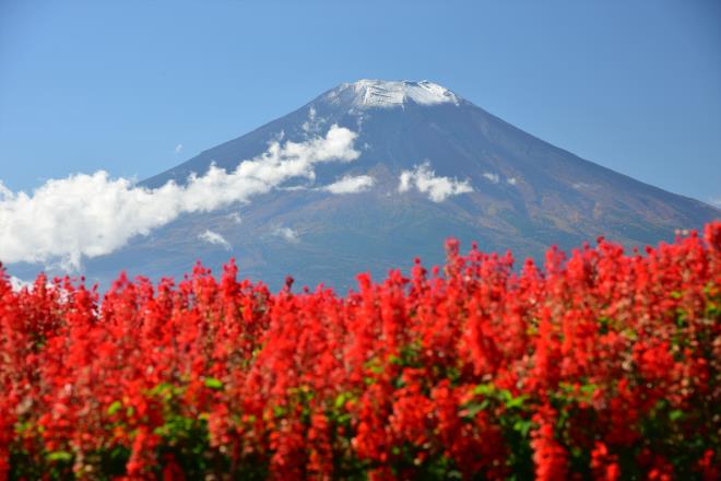 雲も富士山に登山中