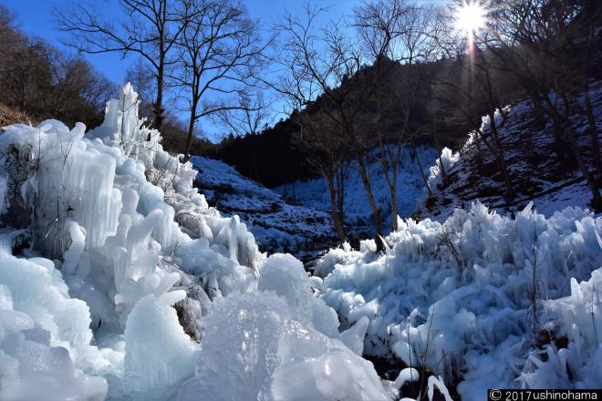 あしがくぼの氷柱3113.jpg