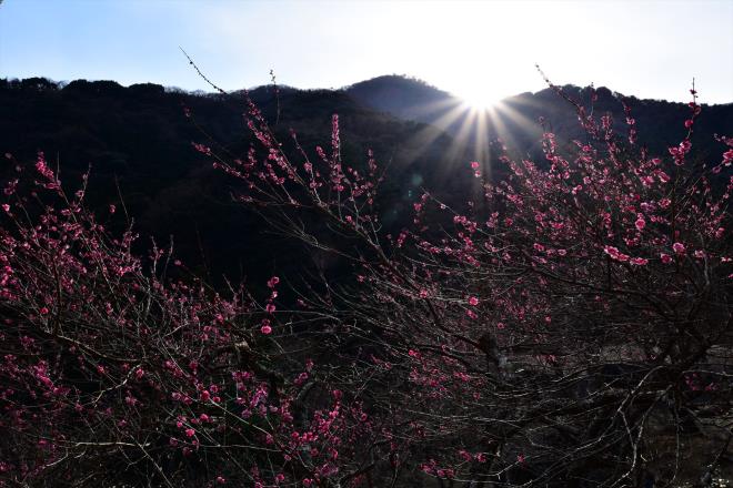 太陽は山の彼方へ