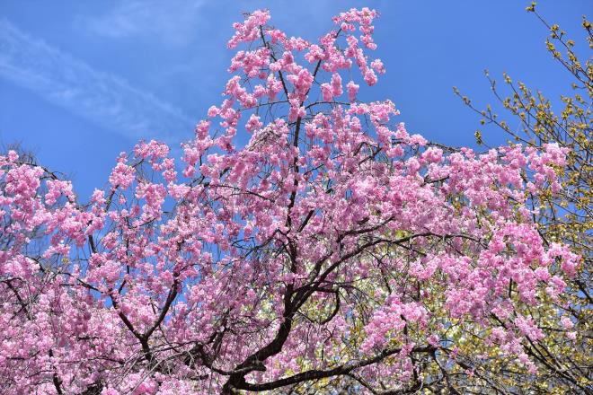 束の間の青空