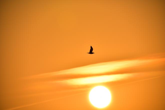 牛ノ浜海岸の夕陽