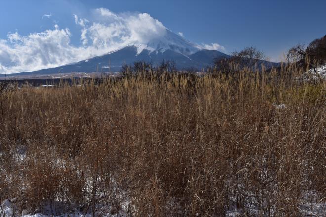 忍野からの風景