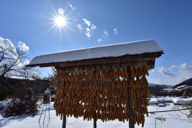 この時間の太陽の位置