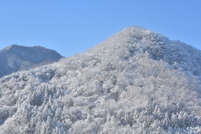 中央線　車窓の風景