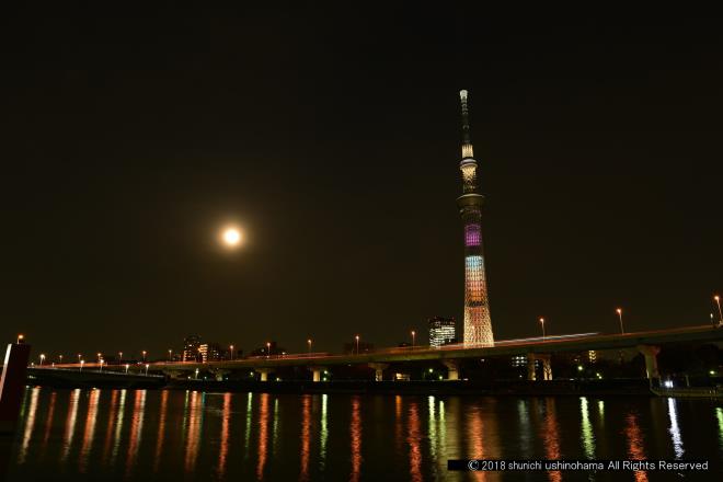 薄曇りの月とスカイツリー