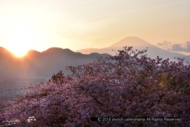 夕陽に染まる