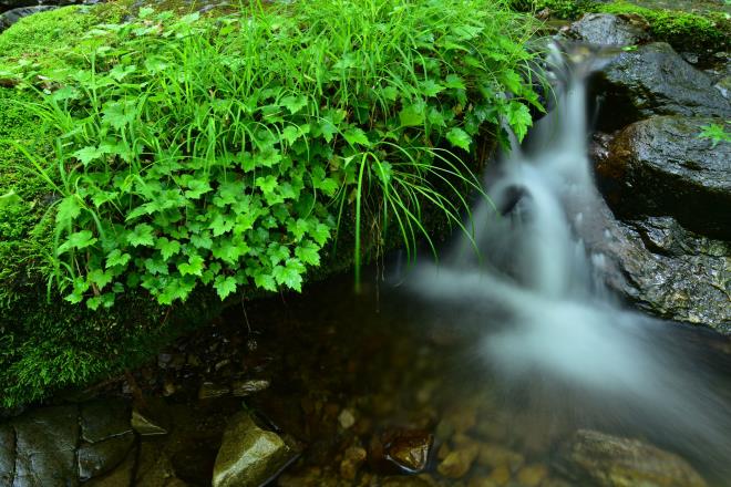 小さい水の流れも清く