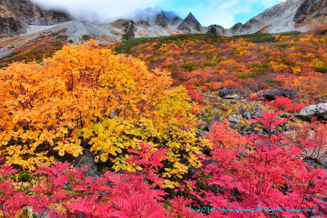 紅葉に埋もれる