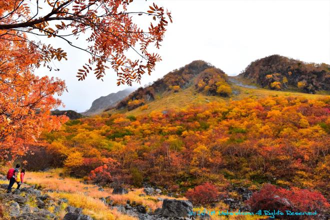 紅葉の山を愛でる