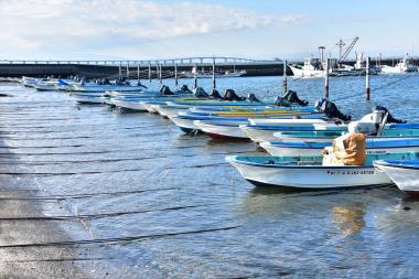 牛込海岸船溜