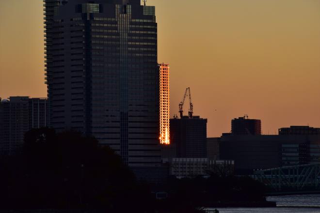 夕陽の忘れ物