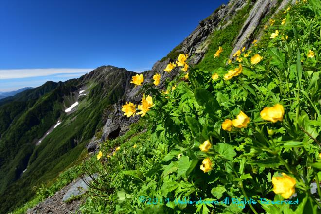 間ノ岳（3190m）を望む　@★YKH_8692.jpg