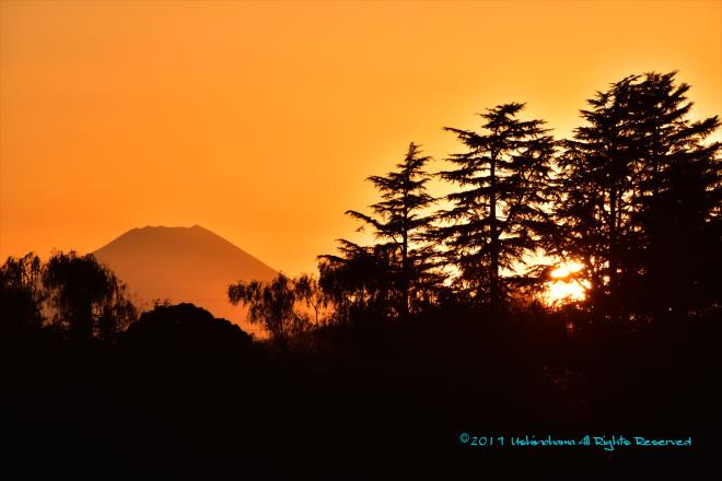 夕陽に赤い富士
