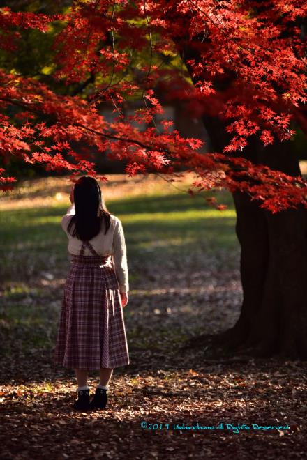 ゴルゴ１３も的を外したか。