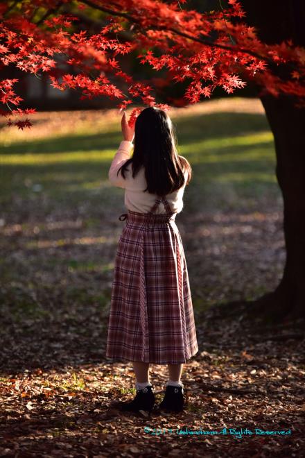 アーマーライトM16の標的