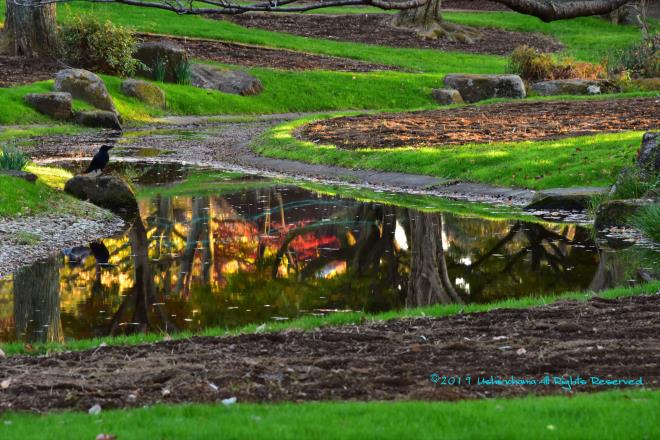 赤いダイヤモンド