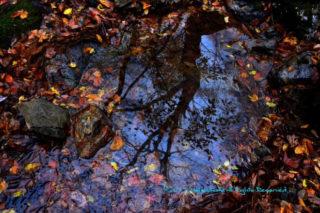 谷の流れへの映り込み