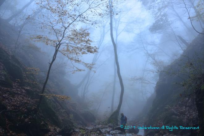 霧の中に女性カメラマンが一人。