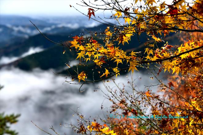 すっかり雨はやみ