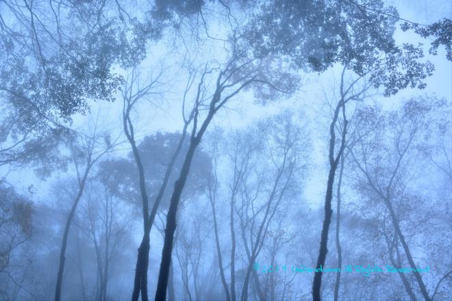 急に暗くなり霧が出始めました。