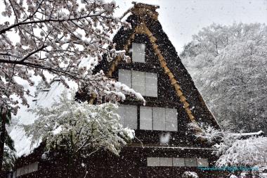 山下家住宅（やましたけじゅうたく）＜裏側＞