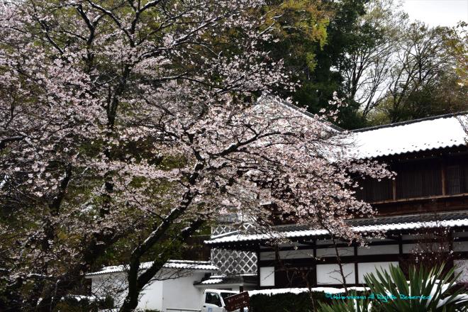 本館展示棟