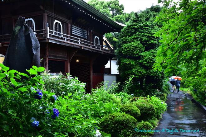 雨の修廣寺