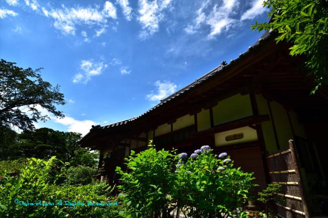 夏空の寺　「淨慶寺」