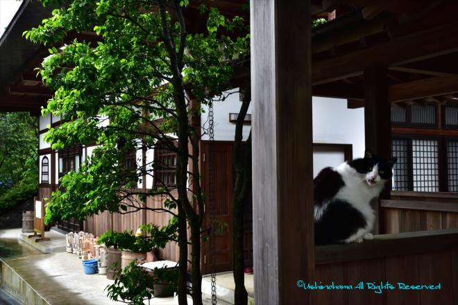 な～に？　「修廣寺」