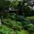紫陽花の庭　「淨慶寺」