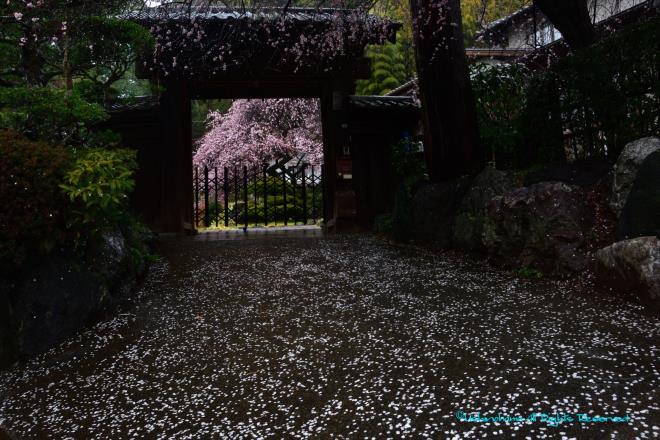 花びらで飾られ