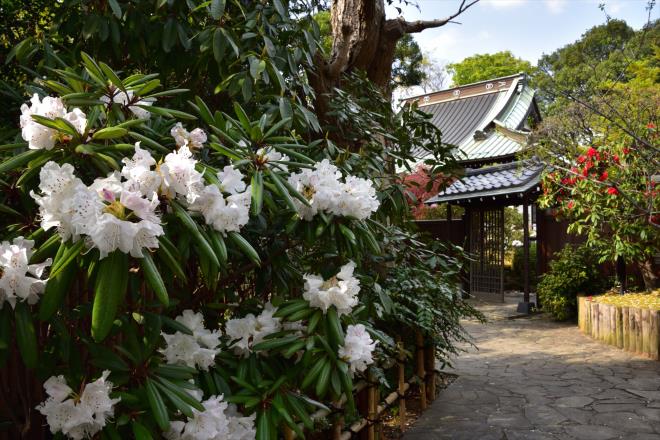 高蔵寺