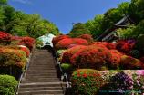 等覚院（つつじ寺）