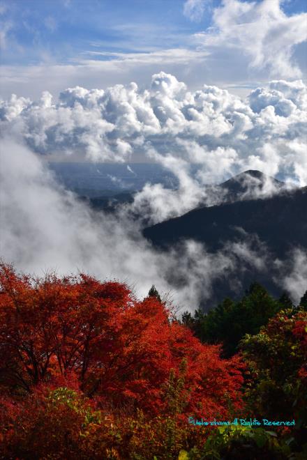 湧き上がる雲