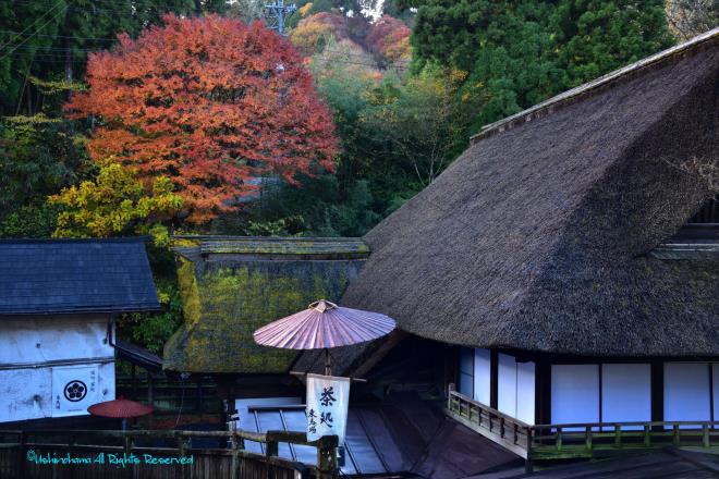 御岳山の宿坊