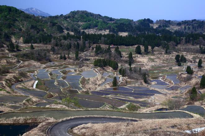 星峠の棚田　IMG_2936_01.JPG